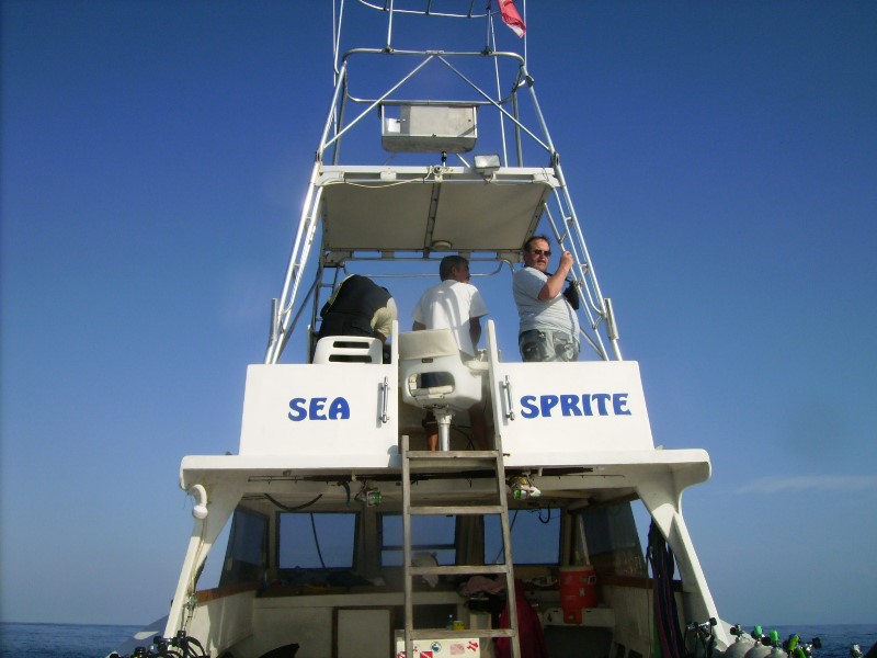 ../Images/seasprite 1.jpg